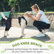 Rodillera para perros con soporte para patas y rehabilitación posoperatoria