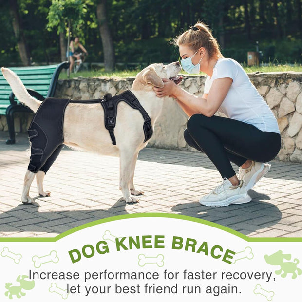 Rodillera para perros con soporte para patas y rehabilitación posoperatoria