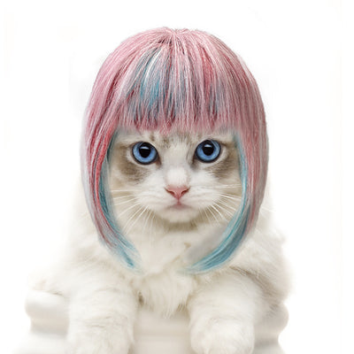 Peluca larga para gato o perro, universal, colorida, para fiesta