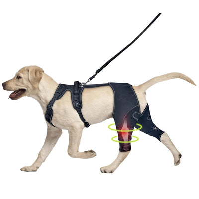 Rodillera para perros con soporte para patas y rehabilitación posoperatoria