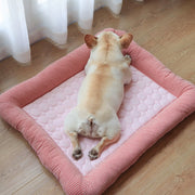 Alfombrillas refrescantes para perros y gatos (cachorros/gatitos)
