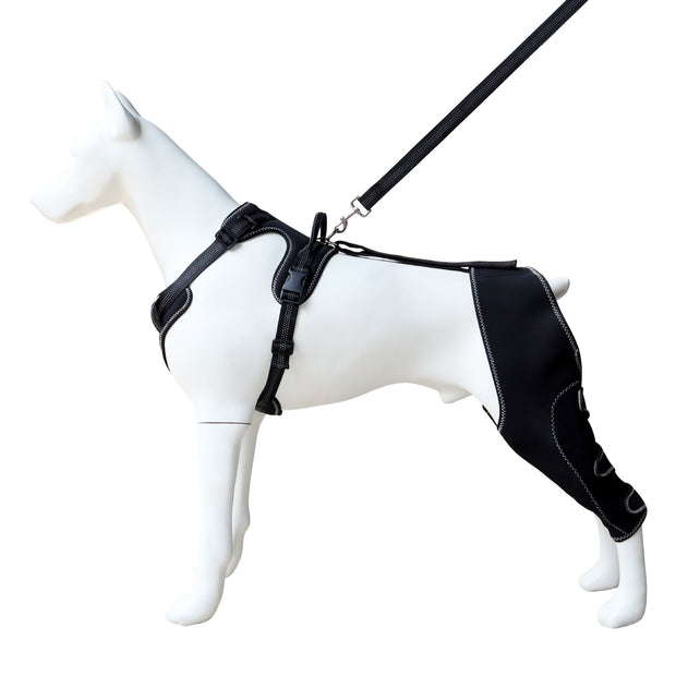 Rodillera para perros con soporte para patas y rehabilitación posoperatoria