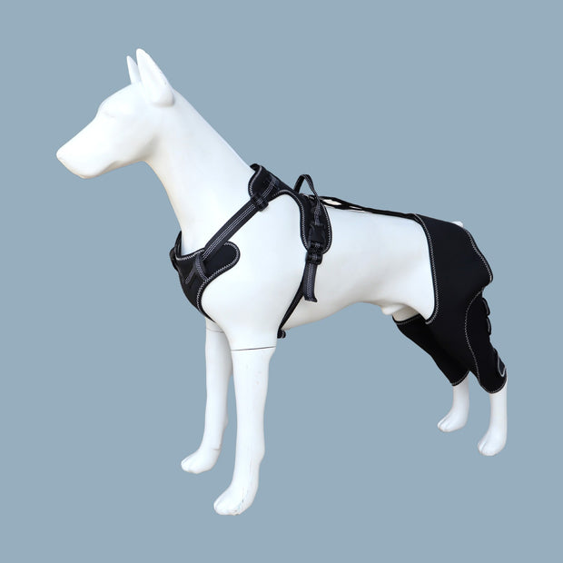 Rodillera para perros con soporte para patas y rehabilitación posoperatoria