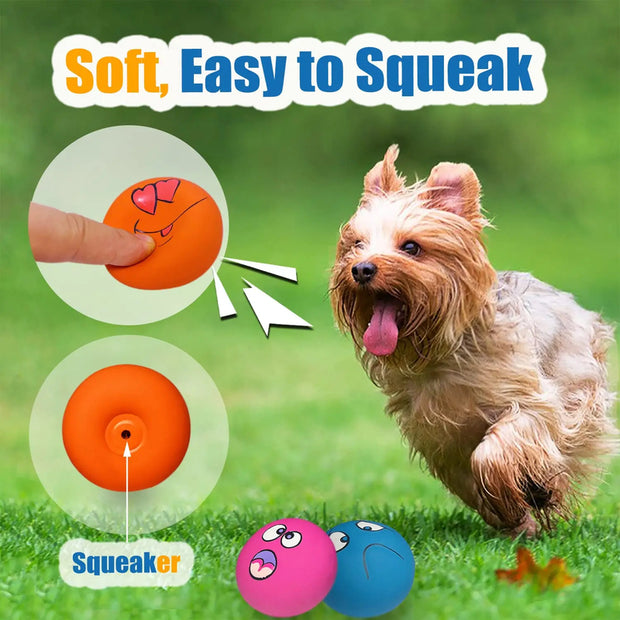 Juego de 6 juguetes para mascotas