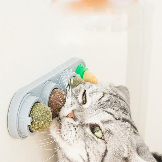 Juguete de pelota giratoria con forma de menta para gatos