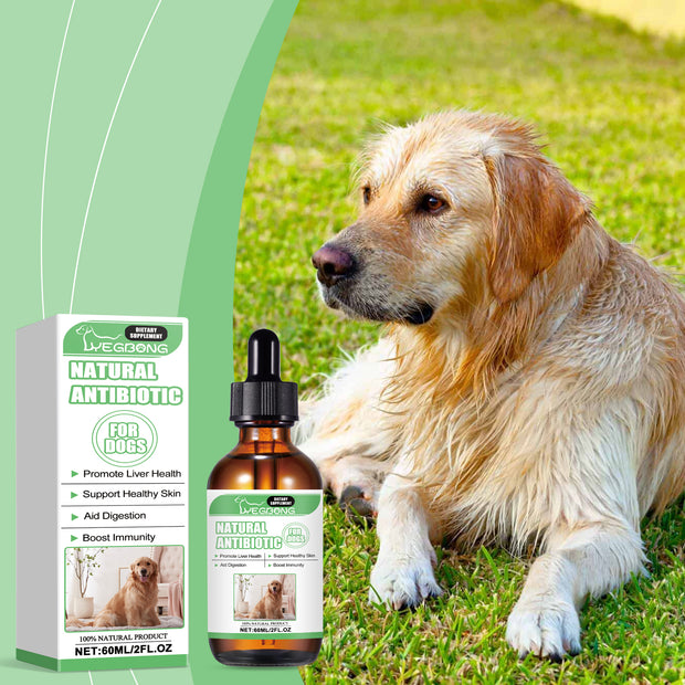 Suplemento para perros Yegbong con gotas para una piel sana que favorece la digestión y mejora la inmunidad