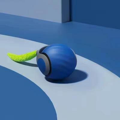pelota para pasear perros