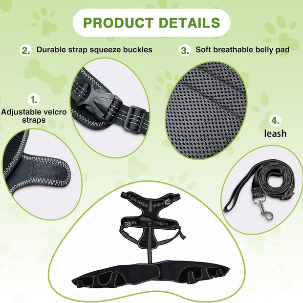 Rodillera para perros con soporte para patas y rehabilitación posoperatoria