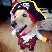 Ropa para perros con transformación de piratas
